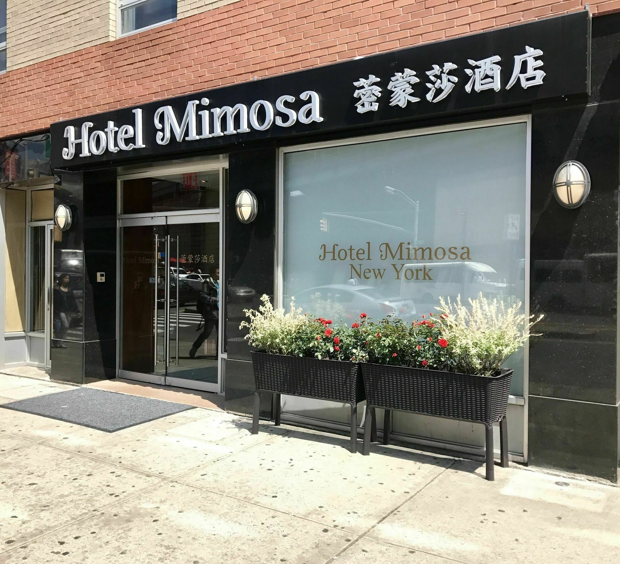 Hotel Mimosa New York Exterior photo